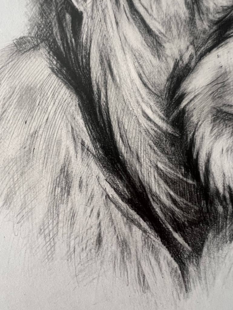 Original Black & White Animal Drawing by Marina Merz