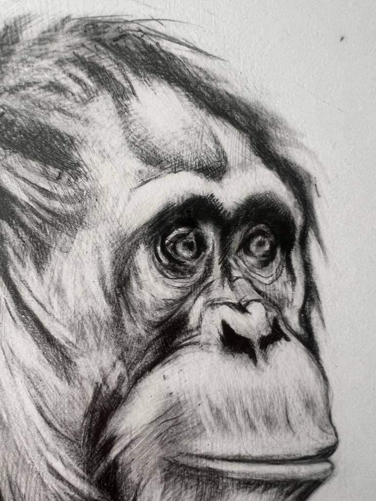 Original Black & White Animal Drawing by Marina Merz