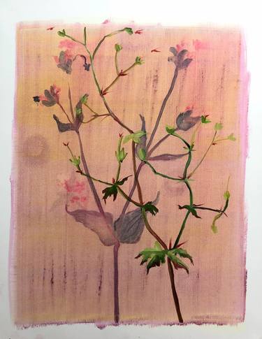 Print of Botanic Paintings by Sylvia Frankena