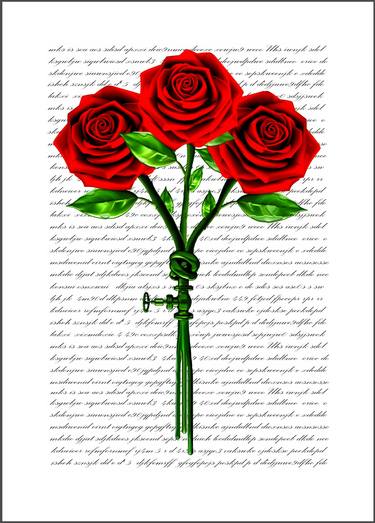 Roses for you - Limited Edition of 24 thumb