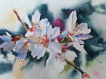 Original Impressionism Floral Paintings by Yolanda Moreno