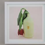 Collection Guest Curator: Ryan Lanji