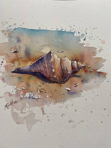 conch shell paintings