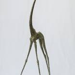 Giraffe by Sergei Oganov