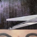 Collection Frieze 2025 Inspiration
