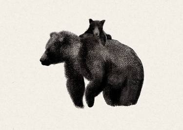 Bears image