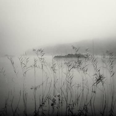 Reeds in the Mist - Limited Edition of 20 thumb