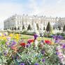 Collection Versailles