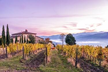 Winery in Tuscany thumb