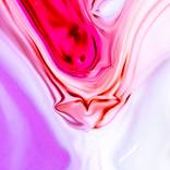 Collection Highlights from Brooklyn November 2021