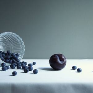 Collection Rogier Boddendjik