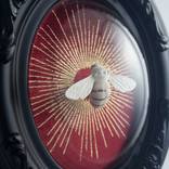 Delphic Bee, Red and Black. by Lana Filippone
