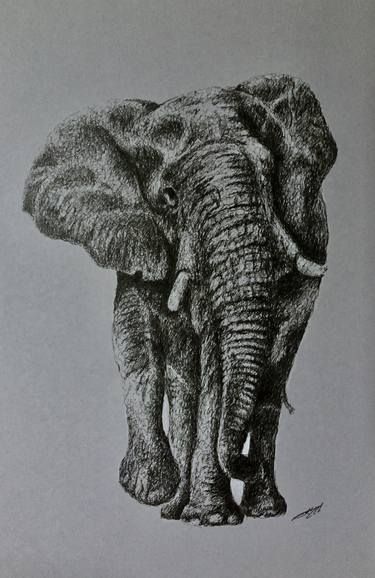 Print of Fine Art Animal Drawings by Evgen Karpenko