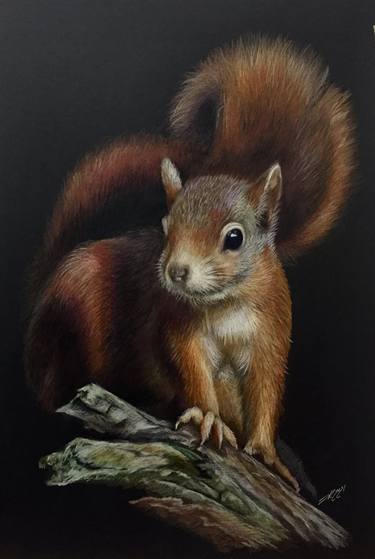 Print of Fine Art Animal Drawings by Evgen Karpenko