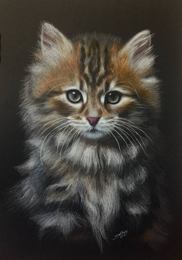 Print of Fine Art Animal Drawings by Evgen Karpenko