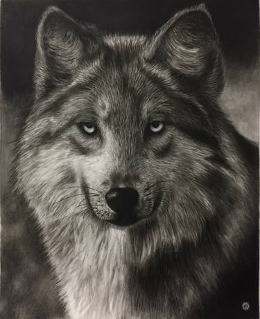 Print of Fine Art Animal Drawings by Evgen Karpenko