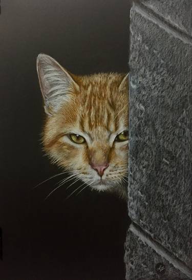 Print of Fine Art Cats Drawings by Evgen Karpenko