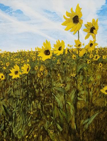 Wild Sunflowers-Summer Skies thumb