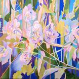 Collection Art for Renewal