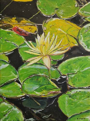 Water Lily thumb