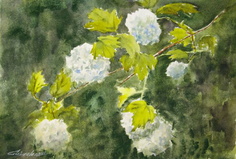 Bush of white flowers Painting by Elena Gaivoronskaia | Saatchi Art