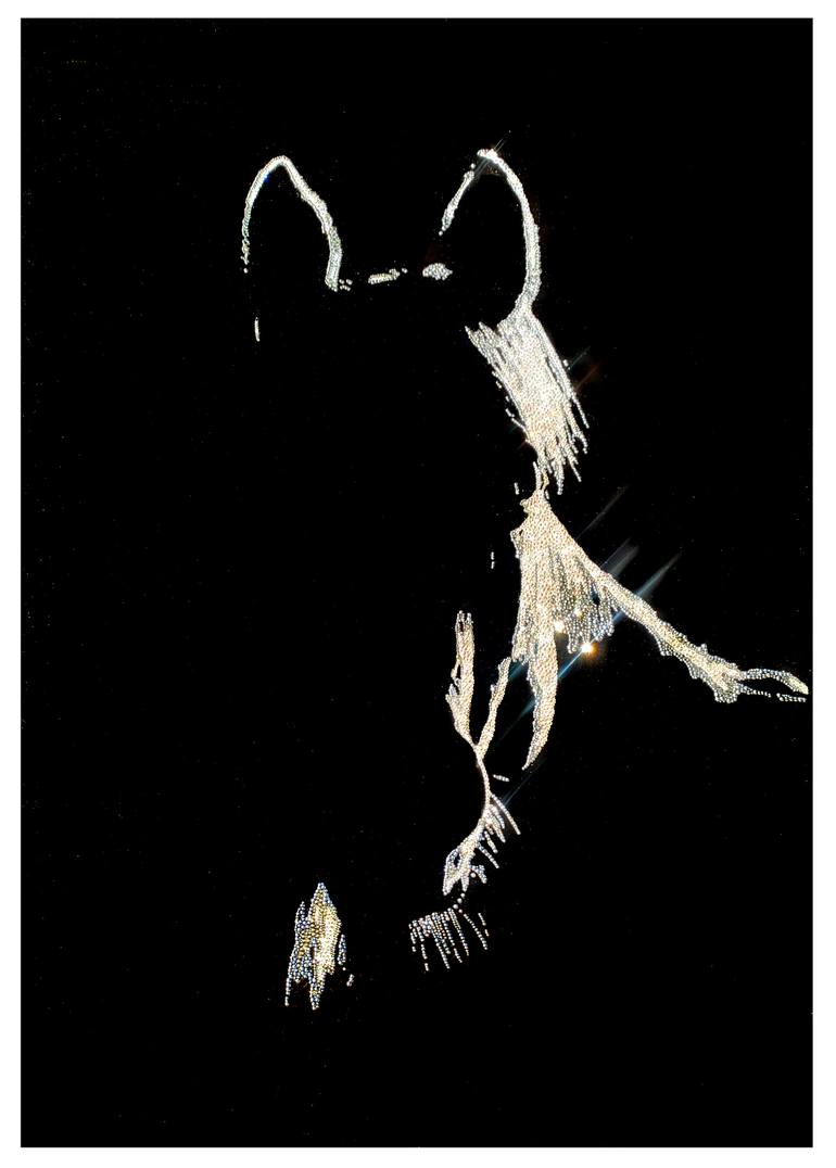 Original Contemporary Animal Mixed Media by Roberta Diazzi