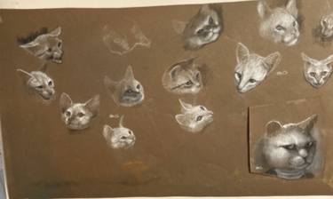 Original Cats Drawings by Barbara Gardner