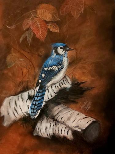 Blue Jay Bird In Autumn Drawing By Bianka Hudson Saatchi Art