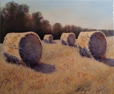 Hay bales in a Pyrenees countryside thumb