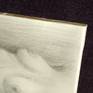 The edge of wood panel in detail