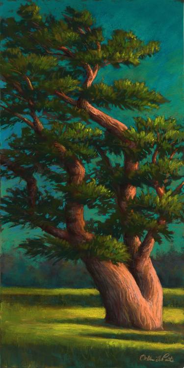 Print of Fine Art Tree Paintings by Catherine LaPointeVollmer