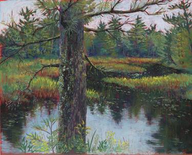 Sentinel on Barnum Brook Pastel Painting thumb