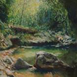 Collection landscapes