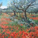 Collection landscapes