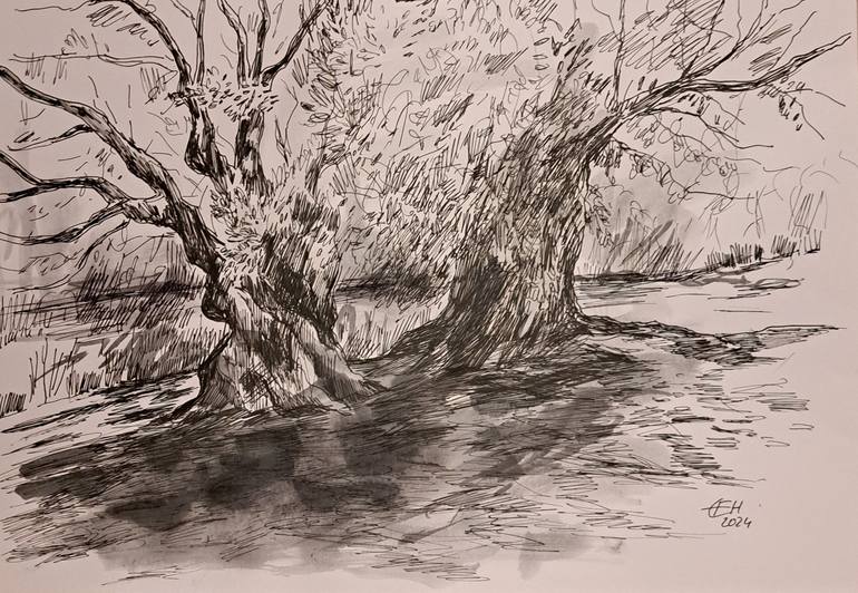 Original Expressionism Nature Drawings by Ellen Fasthuber-Huemer 