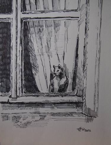 Cat At The Window thumb