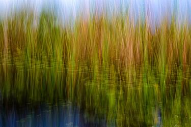 Original Abstract Nature Photography by Chris Lake