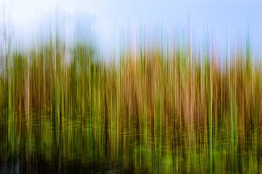 Original Abstract Nature Photography by Chris Lake