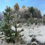 Frosty morning by Vladimir Markov