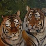 Tigers by Vladimir Markov