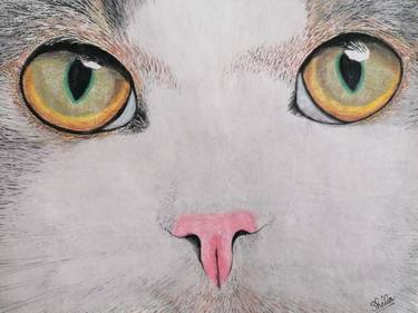 Print of Cats Paintings by Sheila PyoRyx