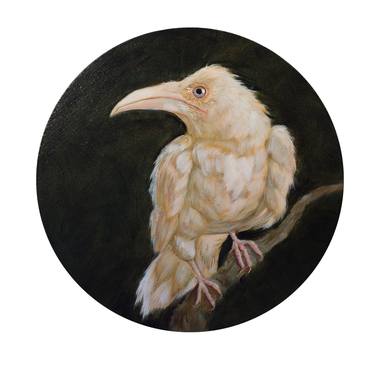 Portrait of a bird - White crow thumb