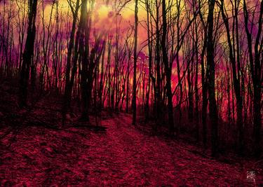 Original Abstract Expressionism Landscape Digital by Osvaldo Russo