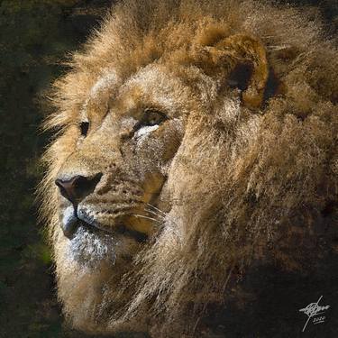 Print of Figurative Animal Digital by Osvaldo Russo