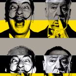 Collection SEARCH AND CAPTURE