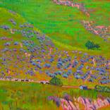Marin Dairy Lands by Kathleen Frank