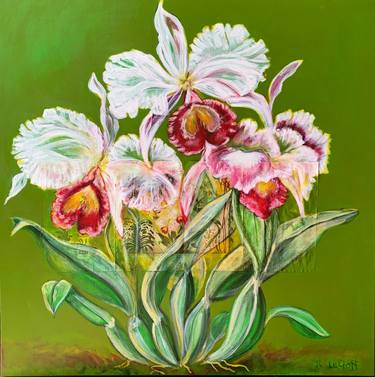 Original Botanic Paintings by Rachel LeGoff