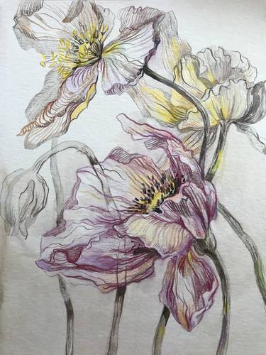 Print of Impressionism Floral Paintings by Sofia Khaleeva