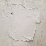 Collection White Paintings