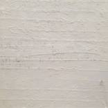 Collection White Paintings